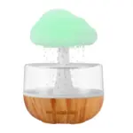 Rain Cloud হিউমিডিফায়ার
