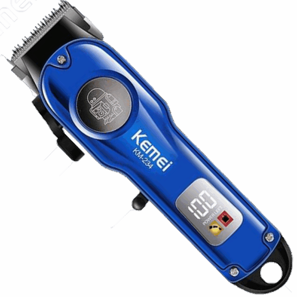 Kemei KM-234