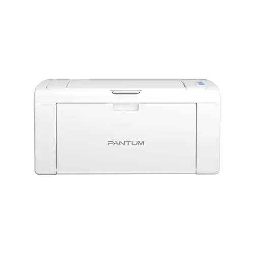 Pantum P2509